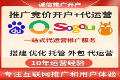 网络推广与竞价策略实战案例