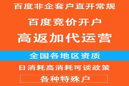 竞价推广的技巧与案例分享